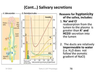 9/1/2023
(Cont…) Salivary secretions
Reasons for hyptonicity
of the saliva, includes:
1. Na+ and Cl-
reabsorption from the
lumen to the plasma is
greater than K+ and
HCO3- secretion into
the lumen
2. The ducts are relatively
impermeable to water
(i.e. H2O does not
follow the osmotic
gradient of NaCl)
78
Tariku A. [GIT Physiology]
 
