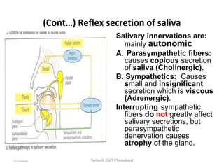 9/1/2023
(Cont…) Reflex secretion of saliva
Salivary innervations are:
mainly autonomic
A. Parasympathetic fibers:
causes copious secretion
of saliva (Cholinergic).
B. Sympathetics: Causes
small and insignificant
secretion which is viscous
(Adrenergic).
Interrupting sympathetic
fibers do not greatly affect
salivary secretions, but
parasympathetic
denervation causes
atrophy of the gland.
Tariku A. [GIT Physiology]
 