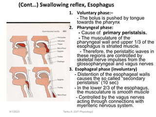 9/1/2023
(Cont…) Swallowing reflex, Esophagus
1. Voluntary phase:–
- The bolus is pushed by tongue
towards the pharynx
2. Pharyngeal phase:
- Cause of primary peristalsis.
- The musculature of the
pharyngeal wall and upper 1/3 of the
esophagus is striated muscle.
- Therefore, the peristaltic waves in
these regions are controlled by
skeletal nerve impulses from the
glossopharyngeal and vagus nerves
3. Esophageal phase (involuntary)
- Distention of the esophageal walls
causes the so called “secondary
peristalsis” (10 sec)
- In the lower 2/3 of the esophagus,
the musculature is smooth muscle
- Controlled by the vagus nerves
acting through connections with
myenteric nervous system.
Tariku A. [GIT Physiology]
 