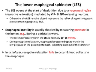 The lower esophageal sphincter (LES)
• The LES opens at the start of deglutition due to a vagovagal reflex
(receptive relaxation) mediated by VIP- & NO-releasing neurons.
– Otherwise, the LES remains closed to prevent the reflux of aggressive gastric
juices containing pepsin & HCl.
• Esophageal motility is usually checked by measuring pressure in
the lumen, e.g., during a peristaltic wave.
– The resting pressure within the LES is normally 20–25 mmHg.
– During receptive relaxation, esophageal pressure drops to match the
low pressure in the proximal stomach, indicating opening of the sphincter.
 In achalasia, receptive relaxation fails to occur & food collects in
the esophagus.
9/1/2023 Tariku A. [GIT Physiology]
 
