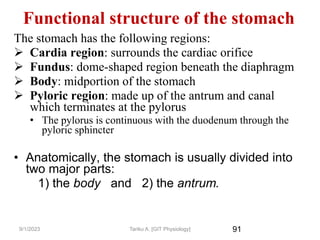 91
Functional structure of the stomach
The stomach has the following regions:
 Cardia region: surrounds the cardiac orifice
 Fundus: dome-shaped region beneath the diaphragm
 Body: midportion of the stomach
 Pyloric region: made up of the antrum and canal
which terminates at the pylorus
• The pylorus is continuous with the duodenum through the
pyloric sphincter
• Anatomically, the stomach is usually divided into
two major parts:
1) the body and 2) the antrum.
9/1/2023 Tariku A. [GIT Physiology]
 