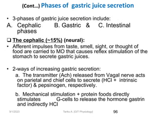 9/1/2023
(Cont…) Phases of gastric juice secretion
• 3-phases of gastric juice secretion include:
A. Cephalic B. Gastric & C. Intestinal
phases
 The cephalic (~15%) (neural):
• Afferent impulses from taste, smell, sight, or thought of
food are carried to MO that causes reflex stimulation of the
stomach to secrete gastric juices.
• 2-ways of increasing gastric secretion:
a. The transmitter (Ach) released from Vagal nerve acts
on parietal and chief cells to secrete (HCl + intrinsic
factor) & pepsinogen, respectively.
b. Mechanical stimulation + protein foods directly
stimulates G-cells to release the hormone gastrin
and indirectly HCl
96
Tariku A. [GIT Physiology]
 