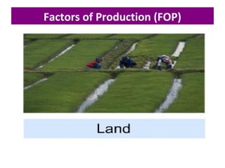 Basic Economic ProblemFactors of Production (FOP)
 