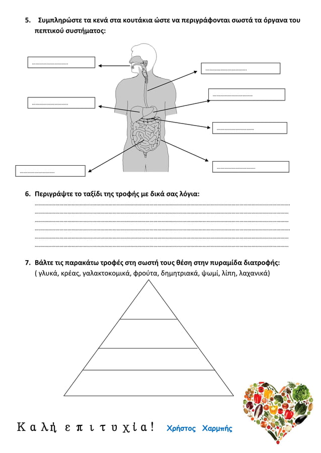  4 PDF