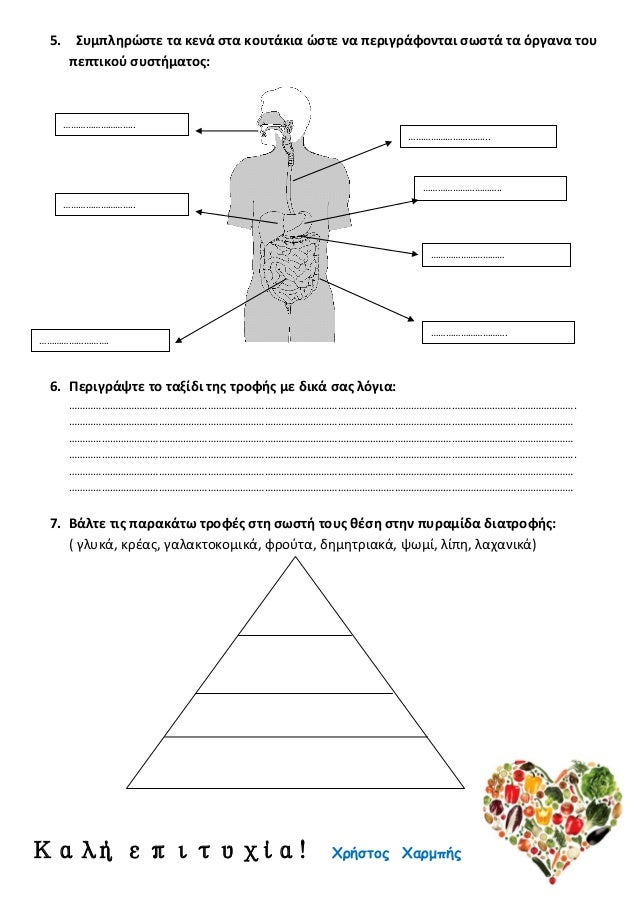 5. Συμπληρώστε τα κενά στα κουτάκια ώστε να περιγράφονται σωστά τα όργανα του
πεπτικού συστήματος:
6. Περιγράψτε το ταξίδι...