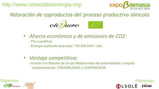 Valoración y aprovechamiento de co-productos del proceso oleícola en almazara OLIDUERO en Medina del Campo
