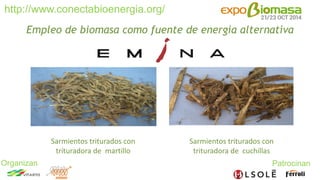 http://www.conectabioenergia.org/ 
Organizan Patrocinan 
Empleo de biomasa como fuente de energía alternativa 
Sarmientos ...