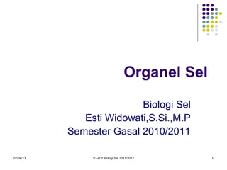 07/04/13 S1-ITP Biologi Sel 2011/2012 1
Organel Sel
Biologi Sel
Esti Widowati,S.Si.,M.P
Semester Gasal 2010/2011
 