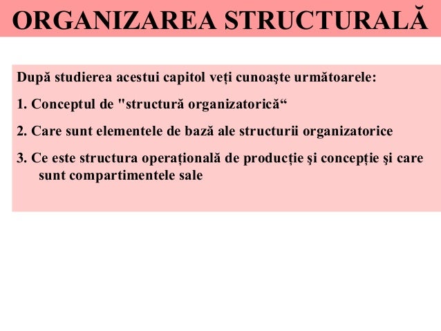 Structura Organizatorica A Intreprinderii Management