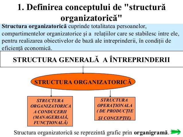 4 organizarea structurala