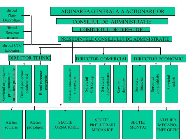 4 organizarea structurala