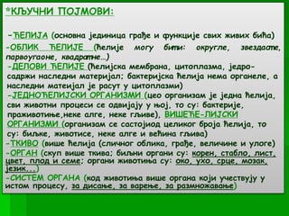 *КЉУЧНИ ПОЈМОВИ:
-ЋЕЛИЈА (основна јединица грађе и функције свих живих бића)
-ОБЛИК ЋЕЛИЈЕ (ћелије могу бит и: округле, звездаст е,
парвоугаоне, квадрат не…)
-ДЕЛОВИ ЋЕЛИЈЕ (ћелијска мембрана, цитоплазма, једро-
садржи наследни материјал; бактеријска ћелија нема органеле, а
наследни матеијал је расут у цитоплазми)
-ЈЕДНОЋЕЛИЈСКИ ОРГАНИЗМИ (цео организам је једна ћелија,
сви животни процеси се одвијају у њој, то су: бактерије,
праживотиње,неке алге, неке гљиве), ВИШЕЋЕ-ЛИЈСКИ
ОРГАНИЗМИ (организам се састојиод целиког броја ћелија, то
су: биљке, животисе, неке алге и већина гљива)
-ТКИВО (више ћелија (сличног облика, грађе, величине и улоге)
-ОРГАН (скуп више ткива; биљни органи су: корен, стабло, лист,
цвет, плод и семе; органи животиња су: око, ухо, срце, мозак,
језик...)
-СИСТЕМ ОРГАНА (код животиња више органа који учествују у
истом процесу, за дисање, за варење, за размножавање)
 