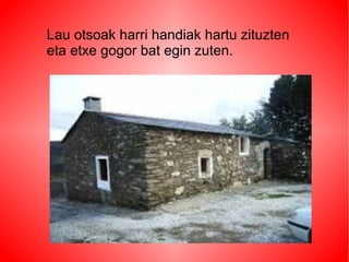Lau otsoak harri handiak hartu zituzten
eta etxe gogor bat egin zuten.
 
