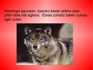 Hurrengo egunean, basoko beste aldera joan
ziren etxe bat egitera. Etxea zuhaitz baten zuloan
egin zuten.
 
