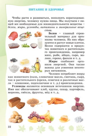 22
ÏÈÒÀÍÈÅ È ÇÄÎÐÎÂÜÅ
×òîáû ðàñòè è ðàçâèâàòüñÿ, ïîïîëíÿòü èçðàñõîäîâàí-
íóþ ýíåðãèþ, ÷åëîâåêó íóæíà ïèùà. Ìû ïîëó÷àåì ñ ïè-
ùåé âñå íåîáõîäèìûå äëÿ æèçíåäåÿòåëüíîñòè âåùåñòâà –
áåëêè, æèðû, óãëåâîäû, âèòàìèíû è ìèíåðàëüíûå âåùå-
ñòâà.
Áåëêè – ãëàâíûé ñòðîè-
òåëüíûé ìàòåðèàë äëÿ îðãà-
íèçìà ÷åëîâåêà. Èç íèõ îáðà-
çóþòñÿ è ðàñòóò íîâûå êëåòêè.
Áåëêè ñîäåðæàòñÿ â ïðîäóê-
òàõ æèâîòíîãî è ðàñòèòåëüíî-
ãî ïðîèñõîæäåíèÿ, íàïðèìåð
ìÿñå, ðûáå, ÿéöàõ, ñûðå, ìî-
ëîêå, ãîðîõå, ôàñîëè è ò. ä.
Æèðû ñíàáæàþò îðãà-
íèçì ýíåðãèåé. Îíè òàêæå
âàæíû äëÿ óñâîåíèÿ íåêîòî-
ðûõ âèòàìèíîâ.
×åëîâåê ïîòðåáëÿåò æèðû
êàê æèâîòíîãî (ñàëî, ñëèâî÷íîå ìàñëî, ñìåòàíà, ñûð),
òàê è ðàñòèòåëüíîãî (îðåõè, ñåìå÷êè è ðàçëè÷íûå ìàñ-
ëà – îëèâêîâîå, ïîäñîëíå÷íîå è ò. ä.) ïðîèñõîæäåíèÿ.
Óãëåâîäû ÿâëÿþòñÿ îñíîâíûì èñòî÷íèêîì ýíåðãèè.
Èìè íàñ îáåñïå÷èâàþò õëåá, êðóïû, ñàõàð, êàðòîôåëü,
ìîðêîâü, ñâёêëà, ôðóêòû, ìёä è ò. ä.
 