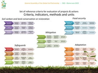 General Assembly of the Global Soil Partnership – FAO – Rome June 2019
Set of reference criteria for evaluation of projects & actions
Criteria, indicators, methods and units
Soil carbon and land conservation or restoration Food security
Mitigation
AdaptationSafeguards
 