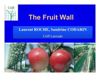 The Fruit Wall
Laurent ROCHE, Sandrine CODARIN
           Ctifl Lanxade
 