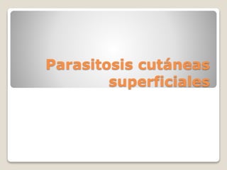 Parasitosis cutáneas
superficiales
 