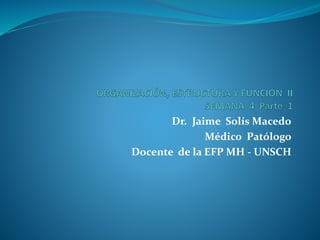 Dr. Jaime Solís Macedo
Médico Patólogo
Docente de la EFP MH - UNSCH
 