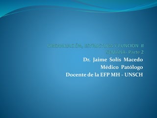 Dr. Jaime Solís Macedo
Médico Patólogo
Docente de la EFP MH - UNSCH
 