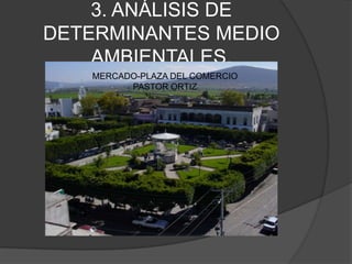 3. ANÁLISIS DE DETERMINANTES MEDIO AMBIENTALES.  MERCADO-PLAZA DEL COMERCIO PASTOR ORTIZ 