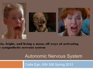 Autonomic Nervous System
Csilla Egri, KIN 306 Spring 2012
ain, fright, and being a mom; all ways of activating
e sympathetic nervous system
 