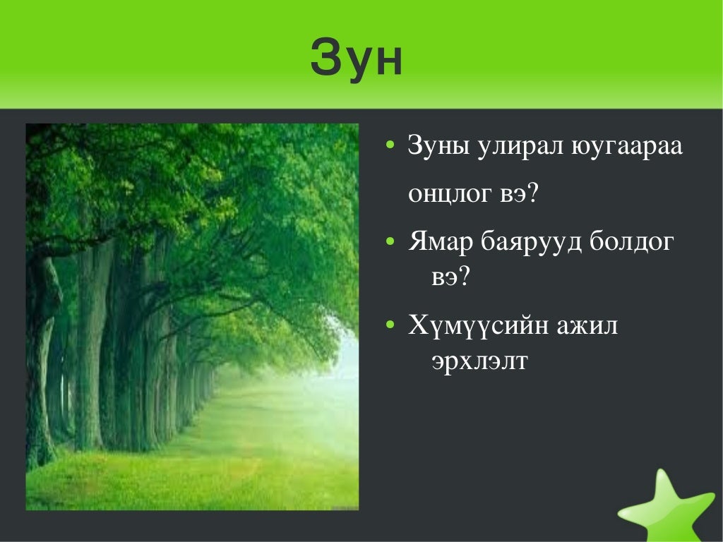 жилийн 4 улирал pdf