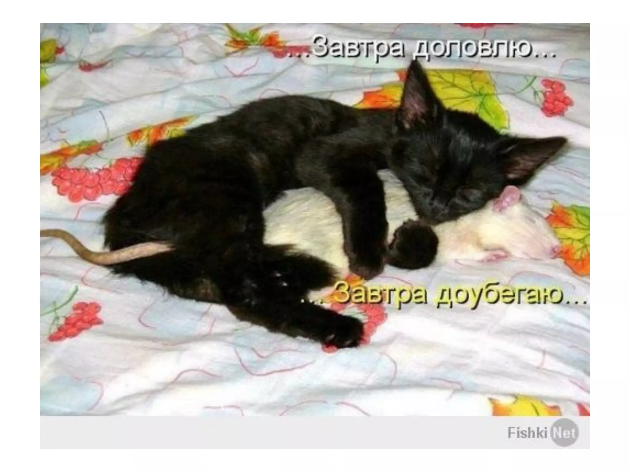 Другая виртуализация