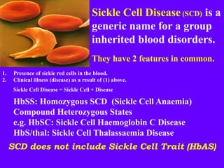 Comprehensive Overview of Sickle Cell Anaemia: Pathogenesis, Diagnosis ...