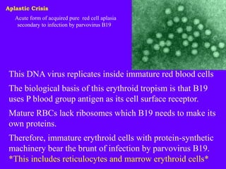 B19 Form Comprehensive Overview of Sickle Cell Anaemia: Pathogenesis, Diagnosis ...