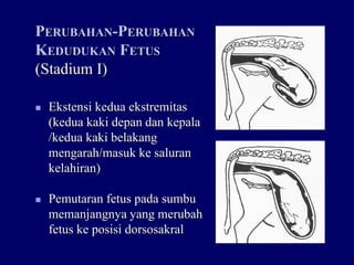 Distokia Sapi (4) Pendahuluan Distokia pada sapi fkh unair | PDF