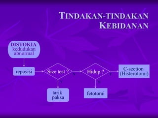 Distokia Sapi (4) Pendahuluan Distokia pada sapi fkh unair | PDF