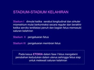 Distokia Sapi (4) Pendahuluan Distokia pada sapi fkh unair | PDF