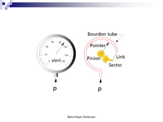 Bisrul Hapis Tambunan
 