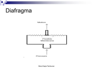 Diafragma
Bisrul Hapis Tambunan
 