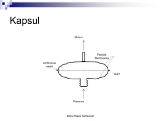 Kapsul
Bisrul Hapis Tambunan
 