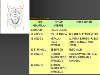 4 perubahan fisiologis | PPT