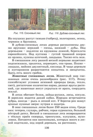 Рис. 115. Сосновый лес Рис. 116. Дубово-сосновый лес
На опушках растут тимьян (чабрец), золотарник, осока,
черника и брусника.
В дубово-сосновых лесах деревья расположены дву­
мя ярусами: верхний - сосны, нижний - дубы. Под
деревьями - подлесок из крушины ломкой, бересклета
европейского. Под кустами - густой травяной покров
из орляка, купены аптечной, ландыша. Также есть мхи.
В смешанном лесу ранней весной первыми зацветают
подснежники, пролеска, первоцвет, сон-трава. Позже -
ландыш, майник двулистный, кислица. В чаще деревьев
и кустарников разрастаются копытень и звездчатка.
Здесь есть много грибов.
Животные смешанных лесов. Животный мир сме­
шанных лесов очень разнообразен (рис. 117). Этому
способствуют условия неживой природы (вода, тепло,
свет), достаточное количество корма, разные ярусы расте­
ний, где животные могут укрыться от врага, соорудить
жильё.
В лесах обитают белки, зайцы-русаки, лисы, косули.
В зарослях водится дикий кабан. Изредка встречаются
зубры, иногда - рысь и лесной кот. У берегов рек живут
ценные пушные звери: нутрия и ондатра.
В зоне смешанных лесов более 250 видов птиц. Среди
них: тетерев, глухарь, рябчик, серая куропатка, большой
пёстрый дятел. Весной в смешанные леса возвращаются
с тёплых краёв скворцы, трясогузки, кукушки, мухо­
ловки. Питаются они насекомыми, которых много в лес­
ной подстилке, под корой деревьев, на растениях.
136
 