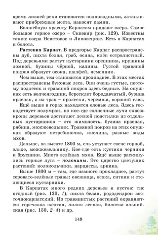 время ливней реки становятся полноводными, затапли­
вают прибрежные места, наносят камни.
Волшебную красоту Карпатам придают озёра. Самое
большое горное озеро - Синевир (рис. 129). Известны
также озера Неистовое и Липовецкое. Есть в Карпатах
и болота.
Растения Карпат. В предгорье Карпат распростране­
ны дуб, пихта белая, граб, осина, клён остролистный.
Под деревьями растут кустарники орешника, крушины
О • • и Т -1 и и
ломкой, бузины чёрной, калины. 1устой травяной
покров образует осока, шалфей, ясменник.
Чем выше, тем становится прохладнее. В этих местах
распространены буковые леса. Они очень густые, поэто­
му подлесок и травяной покров здесь бедные. На опуш­
ках есть волчеягодник, бересклет бородавчатый, бузина
красная, а из трав - пролески, черемша, вороний глаз.
Ещё выше в горах находятся еловые леса. Здесь гос­
подствует полумрак, но кое-где солнечные лучи сквозь
кроны деревьев достигают лесной подстилки из отдель­
ных кустарников - это жимолость, бузина красная,
рябина, можжевельник. Травяной покров на этих опуш­
ках образуют ястребиночка, кислица, разные виды
мхов.
Дальше, на высоте 1800 м, ель уступает сосне горной,
ольхе, можжевельнику. Кое-где есть кустики черники
и брусники. Много зелёных мхов. Ещё выше раскину­
лись горные луга - полонины. Это царство цветущих
растений: колокольчики, нарциссы, арника.
Выше 1800 м - там, где намного прохладнее, растут
серовато-зелёные травы: овсяница, осока, ситник и сте­
лющиеся кустарники.
В Карпатах много редких деревьев и кустов: тис
ягодный (рис. 130, 1), пихта белая, рододендрон вос­
точнокарпатский. Из травянистых растений охраняют­
ся: горечавка жёлтая, лилия лесная, билотка альпий­
ская (рис. 130, 2 -4 ) и др.
149
 
