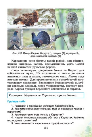 Рис. 132. Птицы Карпат: беркут (1), тетерев (2), глухарь (3),
длиннохвостая неясыть (4)
Карпатские реки богаты такой рыбой, как обыкно­
венная щиповка, налим, подкаменщик, усач. Самой
ценной считается ручьевая форель.
Люди используют природные богатства Карпат для
собственных нужд. На полонинах с весны до осени
выпасают овец и коров, заготовляют сено. Летом туда
вывозят пасеки. Для промышленных потребностей заго­
тавливают древесину. Вследствие безжалостной выруб­
ки деревьев площадь лесов уменьшается, поэтому при­
рода Карпат требует бережного отношения и охраны.
Словарик: Украинские Карпаты; горная долина.
Проверь себя
1. Расскажи о природных условиях Карпатских гор.
2. Как изменяется растительный мир от подножия Карпат к
вершинам?
3. Какие растения есть только в Карпатах?
4. Назови животных, которые обитают в Карпатах. Какие из
них водятся только там?
5. Чем занимается население в горной местности?
151
 