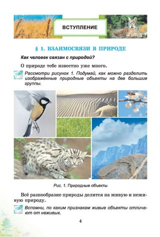 § 1. ВЗАИМОСВЯЗИ В ПРИРОДЕ
Как человек связан с природой?
О природе тебе известно уж е много.
Рассмотри рисунок 1. Подумай, как можно разделить
I-— изображённые природные объекты на две большие
группы.
Рис. 1. Природные объекты
Всё разнообразие природы делится на живую и неж и­
вую природу.
Вспомни, по каким признакам живые объекты отлича-
I-— ют от неживых.
4
 