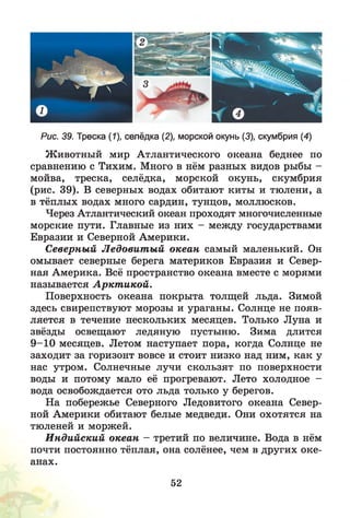 Рис. 39. Треска (1), селёдка (2), морской окунь (3), скумбрия (4)
Животный мир Атлантического океана беднее по
сравнению с Тихим. Много в нём разных видов рыбы -
мойва, треска, селёдка, морской окунь, скумбрия
(рис. 39). В северных водах обитают киты и тюлени, а
в тёплых водах много сардин, тунцов, моллюсков.
Через Атлантический океан проходят многочисленные
морские пути. Главные из них - между государствами
Евразии и Северной Америки.
Северный Л едовит ы й океан самый маленький. Он
омывает северные берега материков Евразия и Север­
ная Америка. Всё пространство океана вместе с морями
называется А ркт икой.
Поверхность океана покрыта толщей льда. Зимой
здесь свирепствуют морозы и ураганы. Солнце не появ­
ляется в течение нескольких месяцев. Только Луна и
звёзды освещают ледяную пустыню. Зима длится
9 -1 0 месяцев. Летом наступает пора, когда Солнце не
заходит за горизонт вовсе и стоит низко над ним, как у
нас утром. Солнечные лучи скользят по поверхности
воды и потому мало её прогревают. Лето холодное -
вода освобождается ото льда только у берегов.
На побережье Северного Ледовитого океана Север­
ной Америки обитают белые медведи. Они охотятся на
тюленей и моржей.
И ндийский океан —третий по величине. Вода в нём
почти постоянно тёплая, она солёнее, чем в других оке­
анах.
52
 