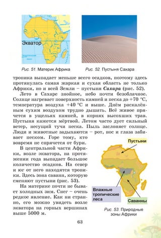 Рис. 51. МатерикАфрика Рис. 52. Пустыня Сахара
Пустыни
тропика выпадает меньше всего осадков, поэтому здесь
протянулась самая жаркая и сухая область не только
Африки, но и всей Земли - пустыня Сахара (рис. 52).
Лето в Сахаре знойное, небо почти безоблачное.
Солнце нагревает поверхность камней и песка до +70 °С,
температура воздуха +40 °С и выше. Днём раскалён­
ным сухим воздухом трудно дышать. Всё живое пря­
чется в ущельях камней, в корнях высохших трав.
Пустыня кажется мёртвой. Летом часто дует сильный
ветер, несущий тучи песка. Пыль заслоняет солнце.
Люди и животные задыхаются - рот, нос и глаза заби­
вает песком. Горе тому, кто
вовремя не спрячется от бури.
В центральной части Афри­
ки, возле экватора, на протя­
жении года выпадает большое
количество осадков. На север
и юг от него находятся тропи­
ки. Здесь зона саванн, которую
сменяют пустыни (рис. 53).
На материке почти не быва­
ет холодных зим. Снег - очень
редкое явление. Как ни стран­
но, его можно увидеть возле
экватора на горных вершинах
выше 5000 м.
Рис. 53. Природные
зоны Африки
63
 
