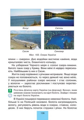 Ялпуг Світязь
Сасик Синевир
Мал. 103. Озера України
ялини — смереки. Дно водойми вистилає каміння, вода
кришталево чиста, блакитного кольору.
На узбережжі Чорного моря є солоні озера-лимани.
Багато таких озер у Криму. Вони мілкі й нерідко пересиха­
ють. Найбільшим із них є Сасик.
Життя озер порівняно з річками нетривале. Якщо води
озера не поповнюються, то через деякий час воно міліє.
У посушливих районах озеро висихає і стає солоним,
у вологих — заростає рослинами і поступово перетво­
рюється на болото.
Е З Розглянь фізичну карту України (на форзаці). Визнач, яким
умовним знаком позначають на карті болота. Знайди і покажи
( • ) на карті болота України.
В Україні поширені переважно невеликі болота. Най­
більше їх на Поліській низовині. Болота нагромаджують
вологу, регулюють рівень води в озерах, ставках, коло­
дязях. З них беруть початок струмки і річки. На болотах
136
 