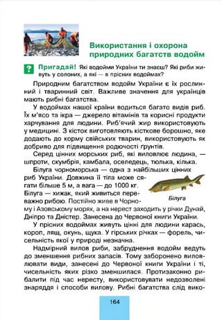 Використання і охорона
природних багатств водойм
П р и га д а й ! Які водойми України ти знаєш? Які риби жи-
вуть у солоних, а які — в прісних водоймах?
Природним багатством водойм України є їх рослин­
ний і тваринний світ. Важливе значення для українців
мають рибні багатства.
У водоймах нашої країни водиться багато видів риб.
їх м’ясо та ікра — джерело вітамінів та корисні продукти
харчування для людини. Риб’ячий жир використовують
у медицині. З кісток виготовляють кісткове борошно, яке
додають до корму свійських тварин, використовують як
добриво для підвищення родючості ґрунтів.
Серед цінних морських риб, які виловлює людина, —
шпроти, скумбрія, камбала, оселедець, тюлька, кілька.
Білуга чорноморська — одна з найбільших цінних
риб України. Довжина її тіла може ся­
гати більше 5 м, а вага — до 1000 кг.
Білуга — хижак, який живиться пере­
важно рибою. Постійно живе в Чорно­
му і Азовському морях, а на нерест заходить у річки Дунай,
Дніпро та Дністер. Занесена до Червоної книги України.
У прісних водоймах живуть цінні для людини карась,
короп, лящ, окунь, щука. У гірських річках — форель, чи­
сельність якої у природі незначна.
Надмірний вилов риби, забруднення водойм ведуть
до зменшення рибних запасів. Тому заборонено вилов­
лювати види, занесені до Червоної книги України і ті,
чисельність яких різко зменшилася. Протизаконно ри­
балити під час нересту, використовувати недозволені
знаряддя і способи вилову. Рибні багатства слід вико­
Білуга
1 64
 