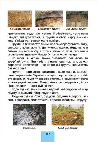 Гпинисті ґрунти Підзолист і ґрунти С ірі л іс о в і ґрунти
пропускають воду, але погано її зберігають, тому вона
швидко випаровується, а ґрунти в свою чергу висиха­
ють. У піщаних ґрунтах мало повітря.
Ґрунти, в яких багато глини, повільно пропускають воду,
але довго зберігають її. Це глинисті ґрунти. Якщо вологи
багато, глинистий ґрунт стає в’язким, а після висихання
вкривається щільною кіркою. У ньому мало повітря.
Поширені в Україні також підзолисті, сірі лісові та
торф’яні ґрунти. Вони містять мало перегною, а тому ма­
лородючі. Солончаки — це неродючі ґрунти, що містять
багато солей.
Ґрунти — найбільше багатство нашої країни. За пло­
щею чорноземів Україна посідає перше місце в світі.
Утворюється ґрунт упродовж століть, а зруйнувати його
можна украй швидко. Вода, вітер, господарська діяль­
ність людини — його руйнівники.
Вода під час злив змиває верхній найродючіший шар
ґрунту, а сильний вітер здуває його.
Людина руйнує ґрунт, будуючи будинки й дороги, за­
води і фабрики, видобуваючи корисні копалини. Вирубу-
С олончаки Т орф ’я н і ґрунти
167
 