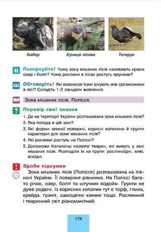 Б обер К униця л ісо ва Тетерук
П о м ір к у й т е ! Чому зону мішаних лісів називають краєм
озер і боліт? Чому рослини в лісах ростуть ярусами?
Обговоріть! Які взаємозв’язки існують між організмами
в лісі? Складіть 1-2 ланцюги живлення.
Щ Зона мішаних лісів, Полісся.
Щ Перевір свої знання
1. Де на території України розташована зона мішаних лісів?
2. Яка погода в цій зоні?
3. Які форми земної поверхні, корисні копалини й ґрунти
характерні для зони мішаних лісів?
4. Які рослини ростуть на Поліссі?
5. Допоможи Наталочці назвати тварин, які живуть у зоні
мішаних лісів. Розподіли їх на групи: рослиноїдні, хижі,
всеїдні.
Зроби підсумки
Зона мішаних лісів (Полісся) розташована на пів­
ночі України. Її поверхня рівнинна. На Поліссі бага­
то річок, озер, боліт та штучних водойм. Ґрунти не
дуже родючі. Із корисних копалин тут є торф, глина,
крейда, граніт, самоцвітні камені тощо. Рослинний
і тваринний світ різноманітний.
175
 