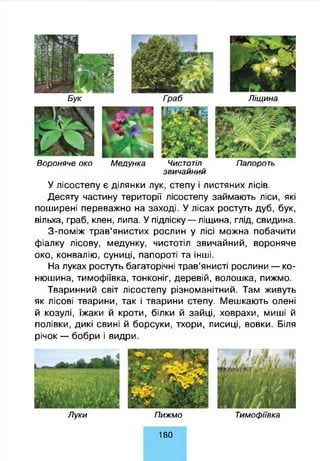 В ороняче око М едунка Чистотіл Папороть
зви ча й н и й
У лісостепу є ділянки лук, степу і листяних лісів.
Десяту частину території лісостепу займають ліси, які
поширені переважно на заході. У лісах ростуть дуб, бук,
вільха, граб, клен, липа. У підліску— ліщина, глід, свидина.
З-поміж трав’янистих рослин у лісі можна побачити
фіалку лісову, медунку, чистотіл звичайний, вороняче
око, конвалію, суниці, папороті та інші.
На луках ростуть багаторічні трав’янисті рослини — ко­
нюшина, тимофіївка, тонконіг, деревій, волошка, пижмо.
Тваринний світ лісостепу різноманітний. Там живуть
як лісові тварини, так і тварини степу. Мешкають олені
й козулі, їжаки й кроти, білки й зайці, ховрахи, миші й
полівки, дикі свині й борсуки, тхори, лисиці, вовки. Біля
річок — бобри і видри.
Л уки П иж м о Тим оф іївка
Л іщ ина
1 8 0
 