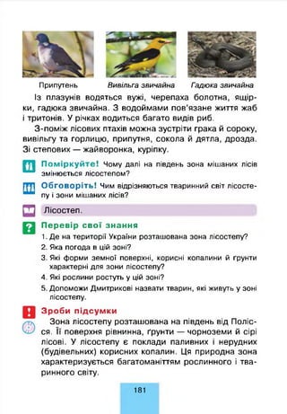 Припутейь Вивільга звичайна Гадю ка звичайна
Із плазунів водяться вужі, черепаха болотна, ящір­
ки, гадюка звичайна. З водоймами пов’язане життя жаб
і тритонів. У річках водиться багато видів риб.
З-поміж лісових птахів можна зустріти грака й сороку,
вивільгу та горлицю, припутня, сокола й дятла, дрозда.
Зі степових — жайворонка, куріпку.
П о м ір к у й т е ! Чому далі на південь зона мішаних лісів
змінюється лісостепом?
Обговоріть! Чим відрізняються тваринний світ лісосте­
пу і зони мішаних лісів?
□ Лісостеп.
Перевір свої знання
1. Де на території України розташована зона лісостепу?
2. Яка погода в цій зоні?
3. Які форми земної поверхні, корисні копалини й ґрунти
характерні для зони лісостепу?
4. Які рослини ростуть у цій зоні?
5. Допоможи Дмитрикові назвати тварин, які живуть у зоні
лісостепу.
Зроби підсумки
Зона лісостепу розташована на південь від Поліс­
ся. Її поверхня рівнинна, ґрунти — чорноземи й сірі
лісові. У лісостепу є поклади паливних і нерудних
(будівельних) корисних копалин. Ця природна зона
характеризується багатоманіттям рослинного і тва­
ринного світу.
181
 