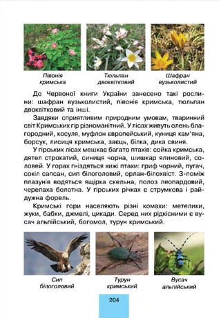 П івонія Тю льпан Ш аф ран
кри м ська двоквіт ковий вузьколист ий
До Червоної книги України занесено такі росли­
ни: шафран вузьколистий, півонія кримська, тюльпан
двоквітковий та інші.
Завдяки сприятливим природним умовам, тваринний
світ Кримських гір різноманітний. Улісах живуть олень бла­
городний, косуля, муфлон європейський, куниця кам’яна,
борсук, лисиця кримська, заєць, білка, дика свиня.
У гірських лісах мешкає багато птахів: сойка кримська,
дятел строкатий, синиця чорна, шишкар ялиновий, со­
ловей. У горах гніздяться хижі птахи: гриф чорний, пугач,
сокіл сапсан, сип білоголовий, орлан-білохвіст. З-поміж
плазунів водяться ящірка скельна, полоз леопардовий,
черепаха болотна. У гірських річках є струмкова і рай­
дужна форель.
Кримські гори населяють різні комахи: метелики,
жуки, бабки, джмелі, цикади. Серед них рідкісними є ву­
сач альпійський, богомол, турун кримський.
С ип Турун Вусач
білоголовий кр и м сь ки й альпійський
204
 